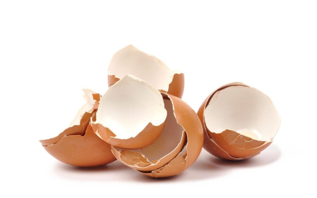 A casca de ovo pode fazer milagres no seu jardim e na sua horta; entenda como funciona e aprenda o jeito certo disso.