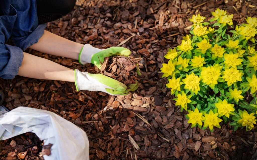 Essas são as flores para plantar em casa e atrair muitos pássaros e borboletas coloridas.