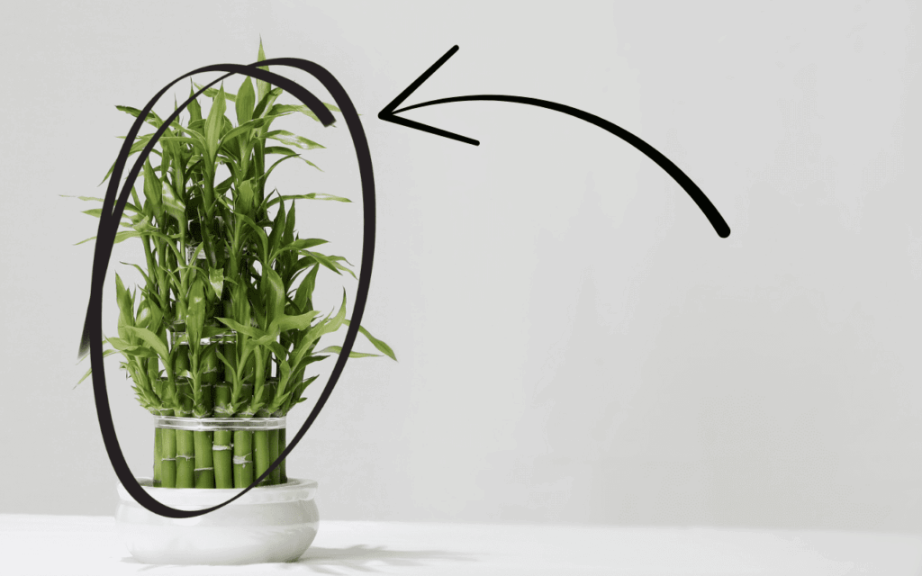 Descubra a nova tendência para quem ama jardim e mora em apartamento. Veja os benefícios e como entrar nessa moda hoje.