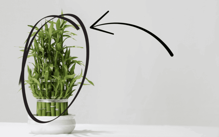 Descubra a nova tendência para quem ama jardim e mora em apartamento. Veja os benefícios e como entrar nessa moda hoje.