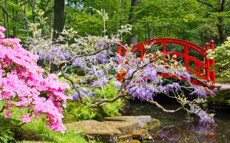 Seu jardim precisa de uma repaginada e você admira a cultura japonesa? Aprenda como transformar seu quintal em algo com atmosfera nipônica.