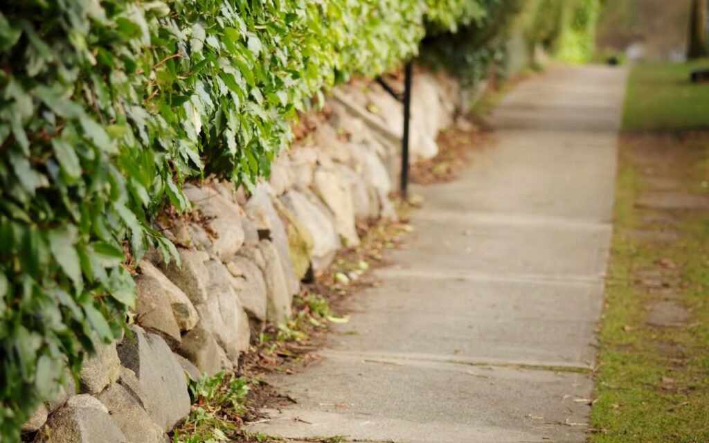 Uma nova arma para combater o mato da calçada foi lançada e não precisa muita coisa; você vai se surpreender.