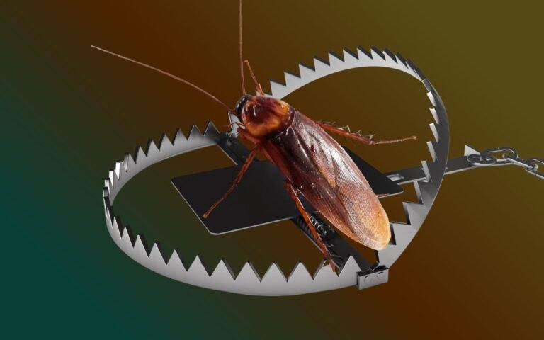 A armadilha de barata que funciona de verdade, não faz sujeira e afasta as invasoras existe e é fácil de fazer.