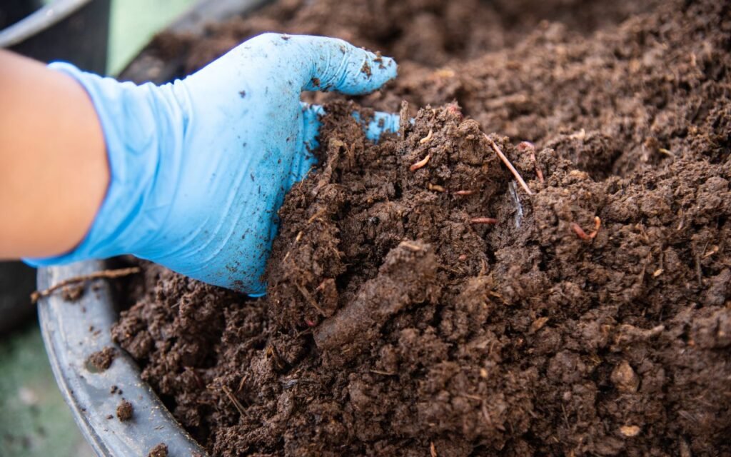 A composteira que você faz em casa para ter adubo de boa qualidade e usa apenas coisas que você já tem; veja o passo a passo.
