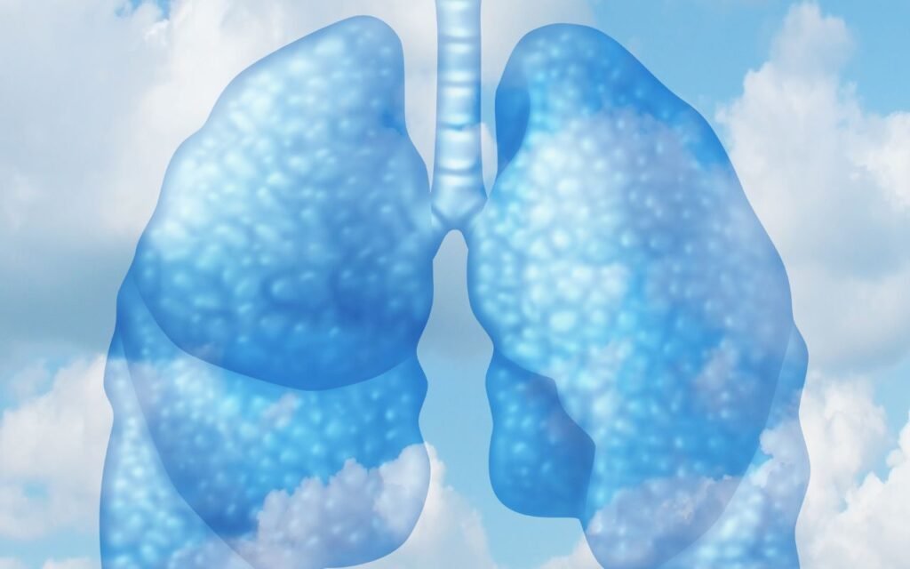 Quer deixar o ar da sua casa bem mais leve e limpo? Aprenda o truque alemão que faz isso acontecer de um jeito fácil.