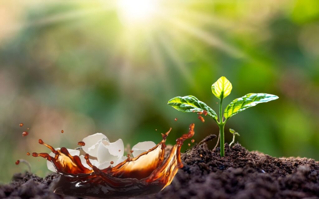 Suas plantas vão te amar depois que você fizer esse adubo caseiro poderosíssimo na sua casa; aprenda o passo a passo.