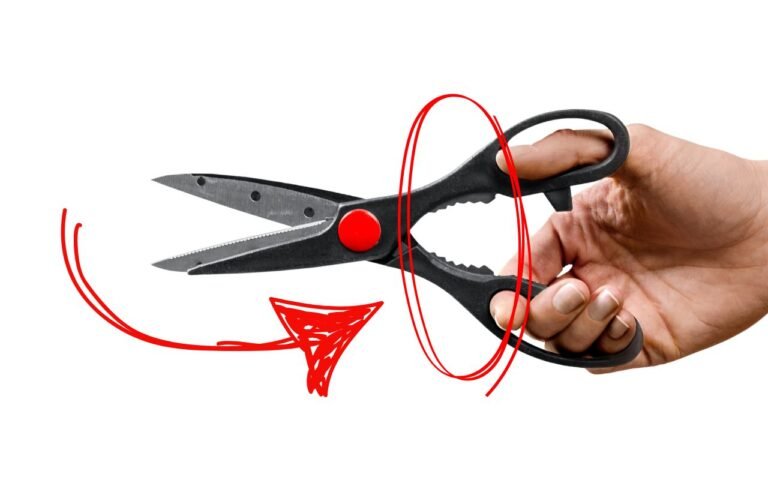 Existe um buraco dentado (ou serrilhado) na sua tesoura e você nunca imaginou qual é a função dele, pelo menos não até agora.