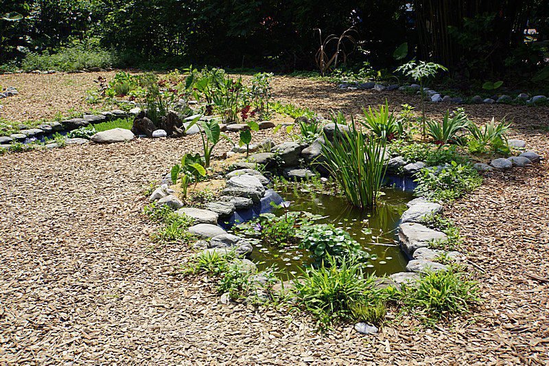 Um lago no seu jardim – Portal do ...