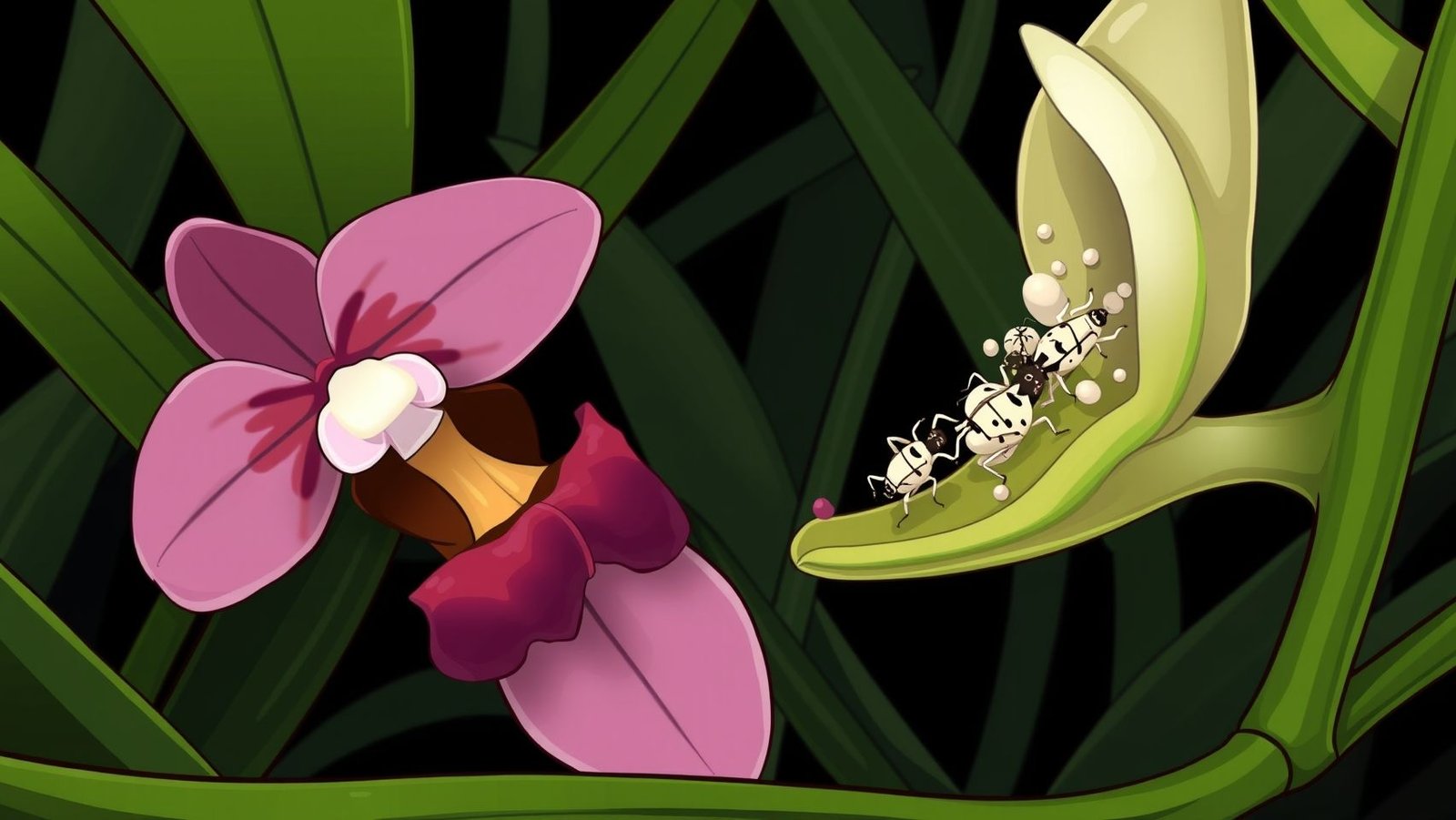 Identificando e combatendo cochonilhas e pulgões em orquídeas: guia prático