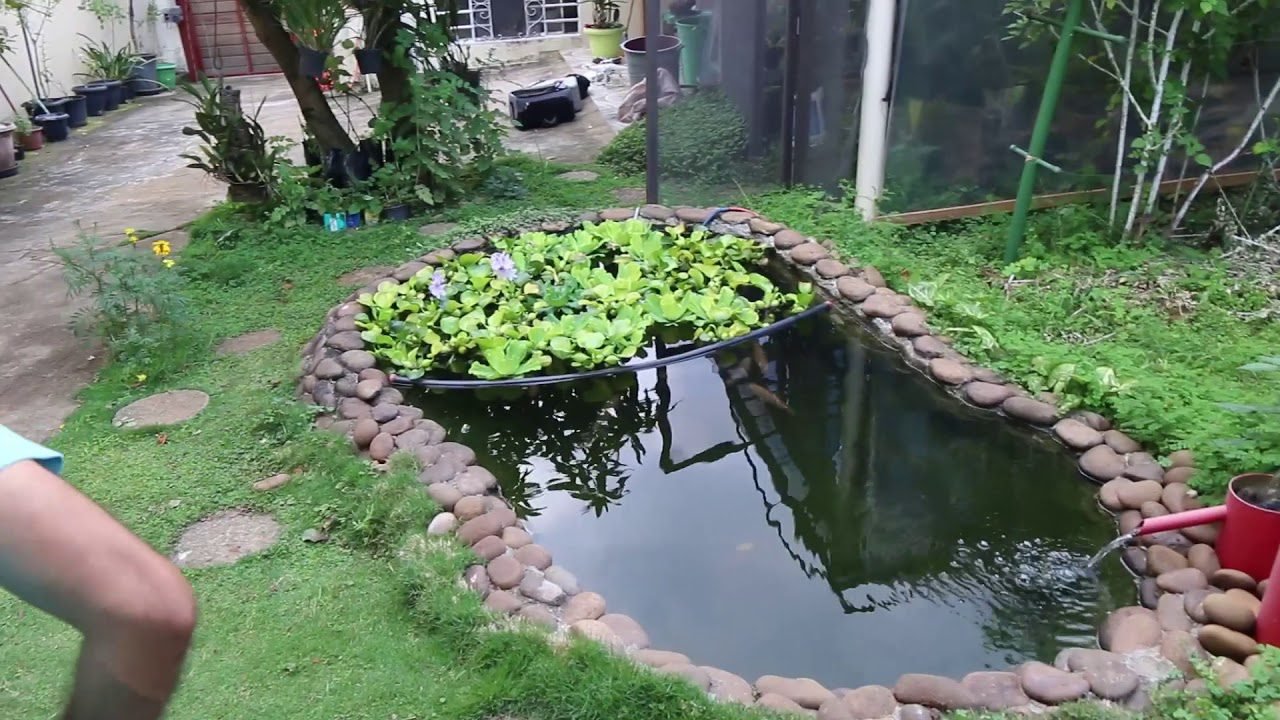 Lake with Fish and Orchard in the City ...