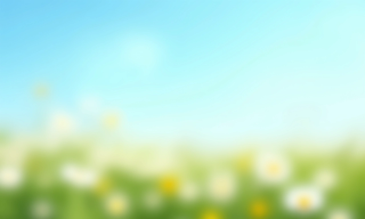 Campo de margaridas simbolizando pureza e inocência.