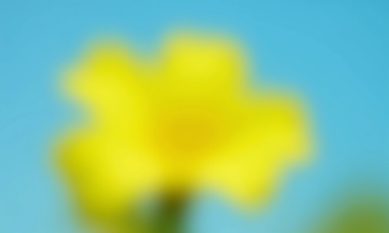 Detalhe da flor amarela do Ipê no Pantanal.