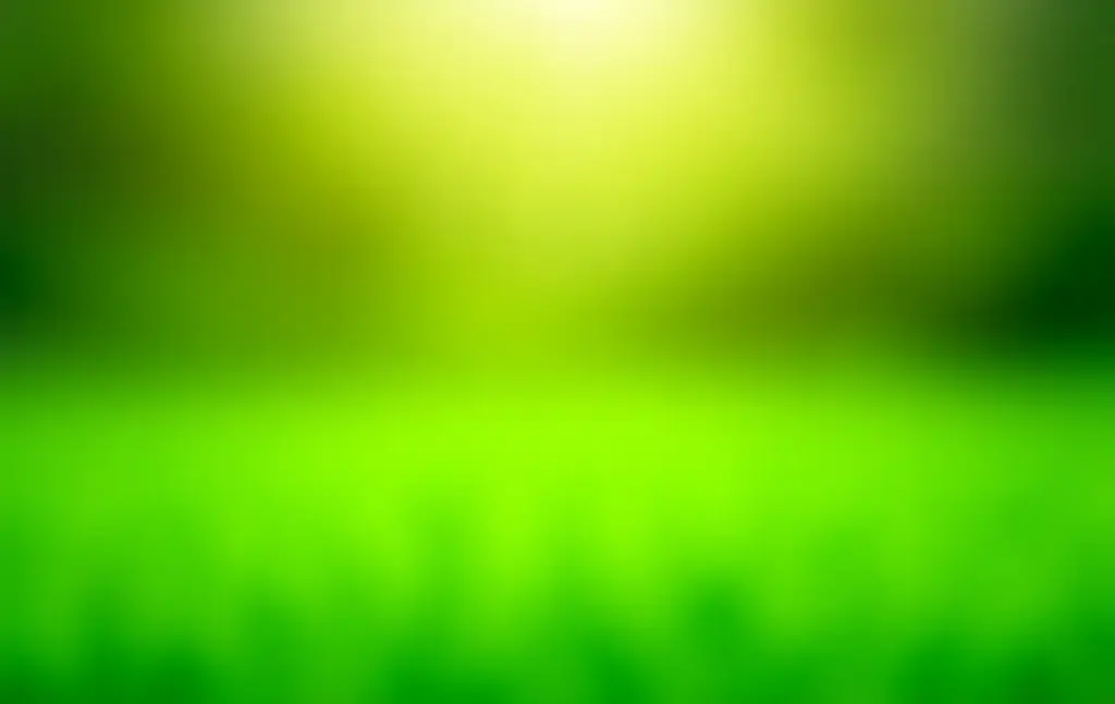 Gramado verde perfeito sob a luz do sol.