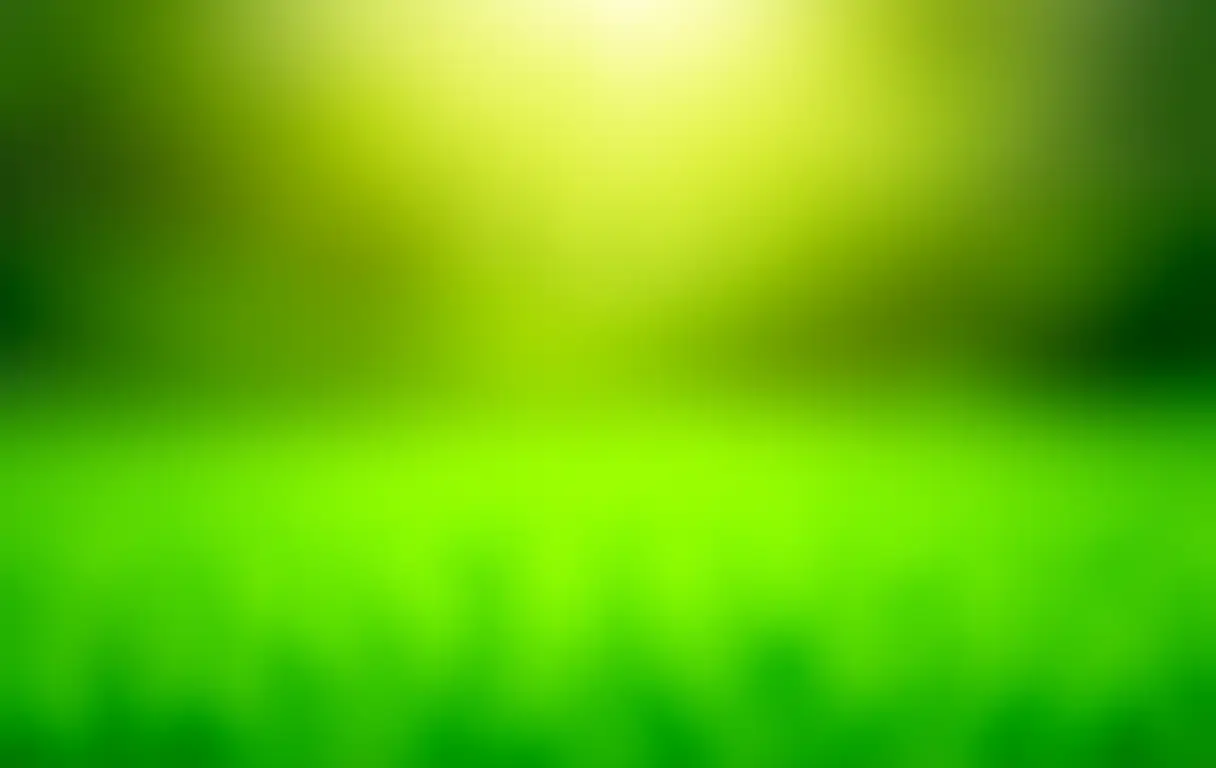 Gramado verde perfeito sob a luz do sol.