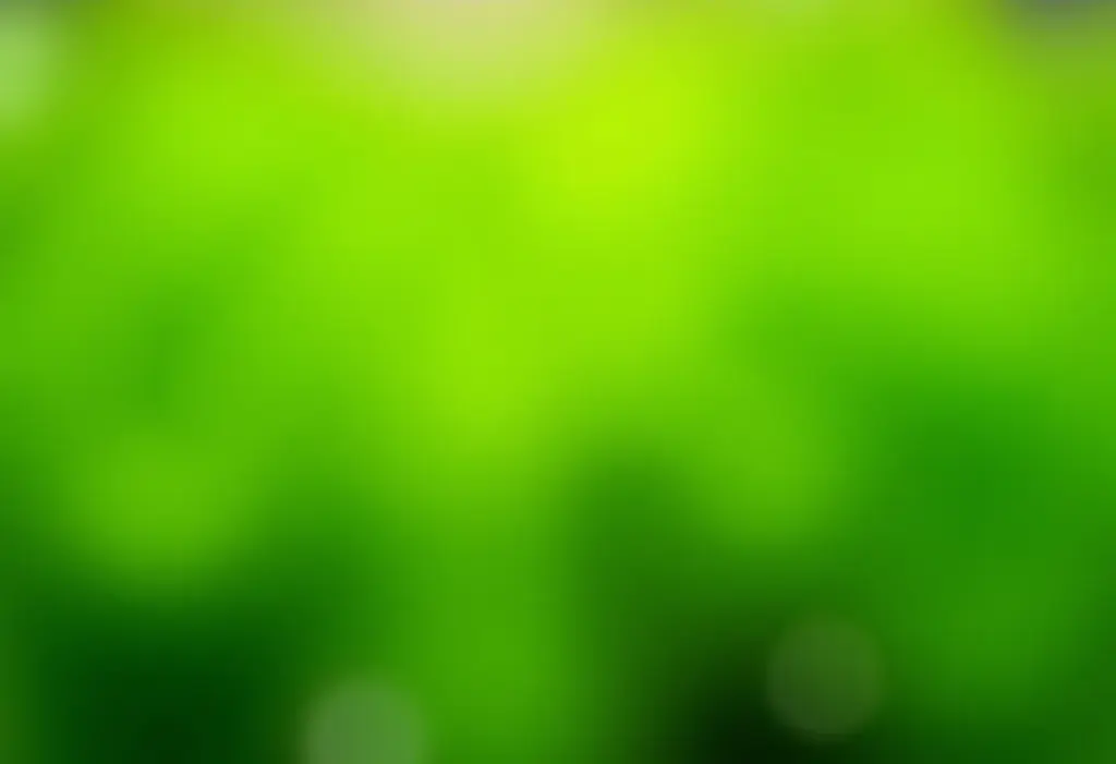 Horta exuberante e livre de pragas