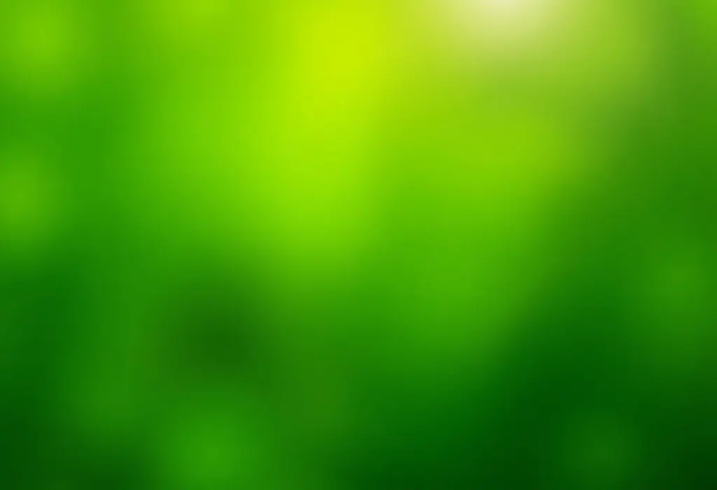 Jiló no Quintal: Guia Completo para Plantar e Colher em Casa Jiló fresco crescendo em um quintal ensolarado