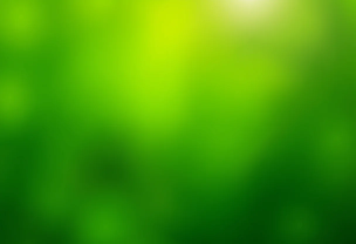 Jiló fresco crescendo em um quintal ensolarado